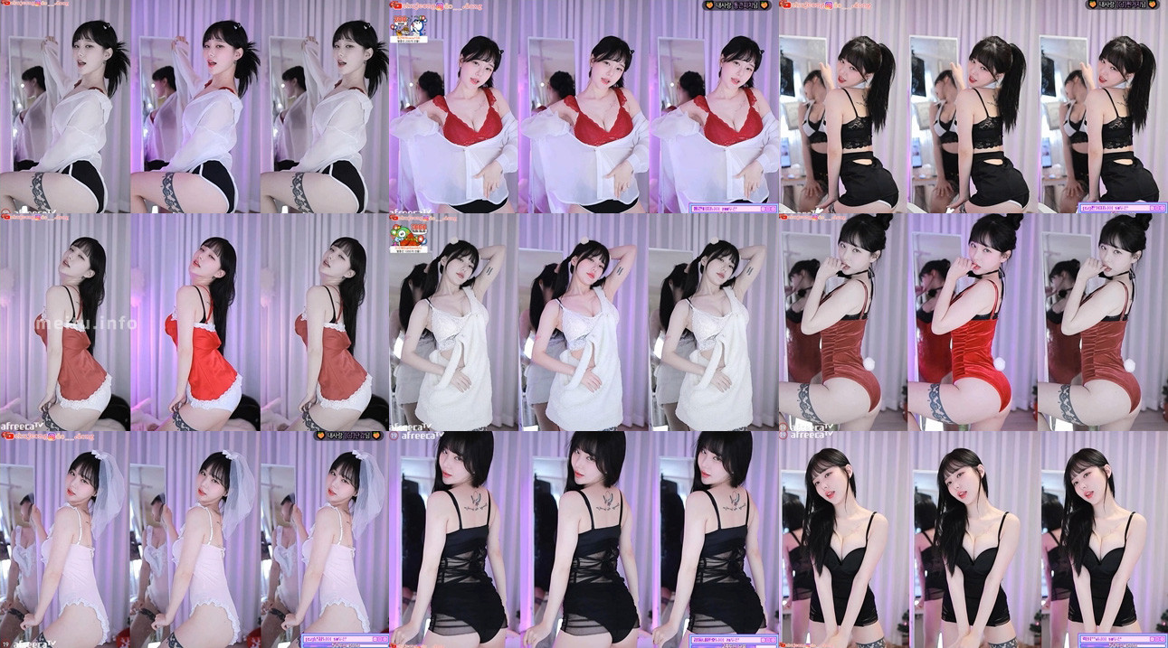 [主播]AfreecaTv韩国BJ邱珍22年12月精选舞蹈合集[62V/19G]