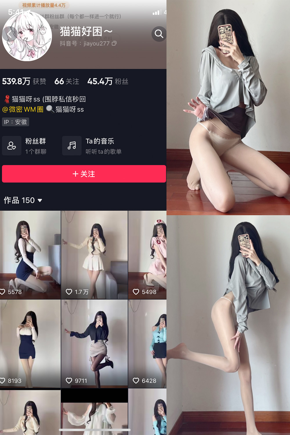 猫猫好困 微密圈 NO.025期 最新至：2023.6.28