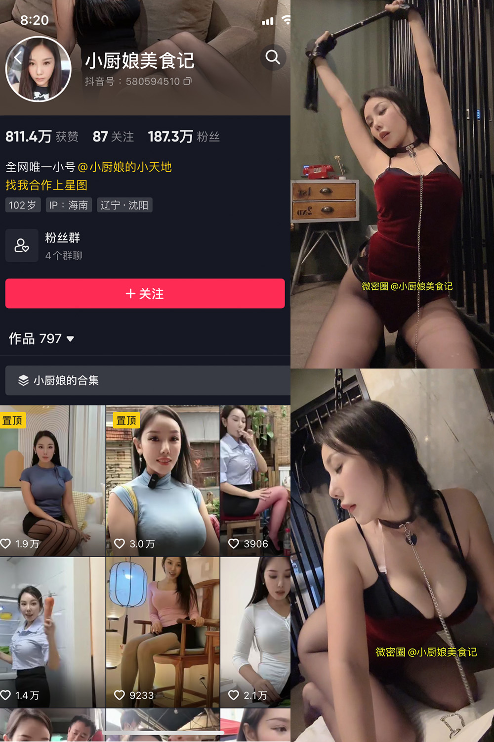 小厨娘美食记 微密圈 NO.011期 最新至：2023.6.11