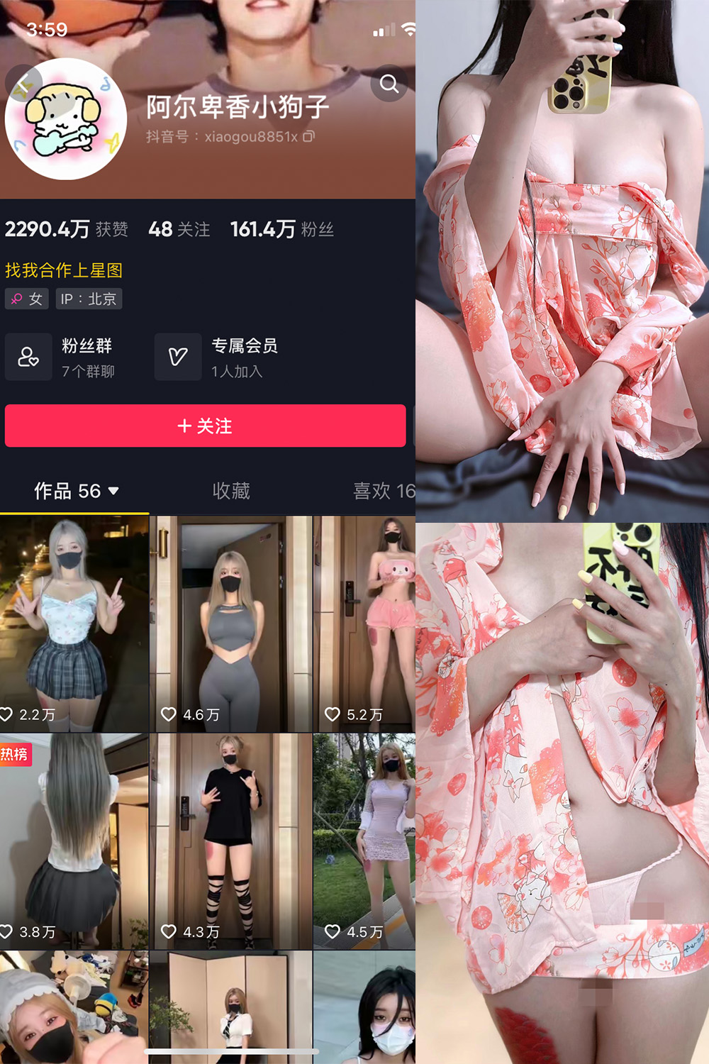 阿尔卑香小狗子 微密圈 NO.052期 最新至：2024.7.11