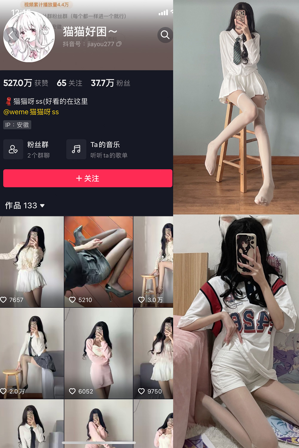 猫猫好困 微密圈 NO.001期