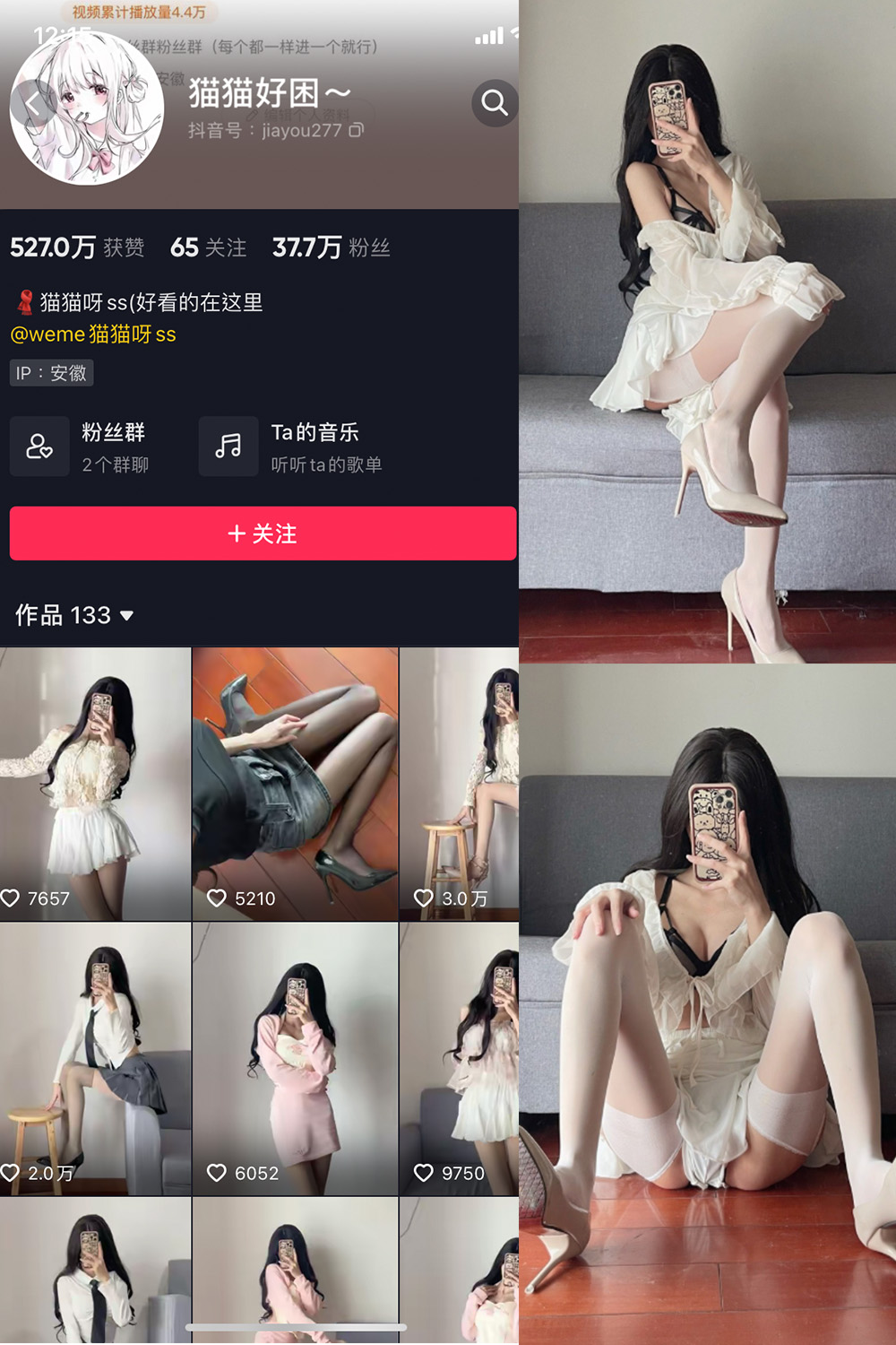 猫猫好困 微密圈 NO.013期