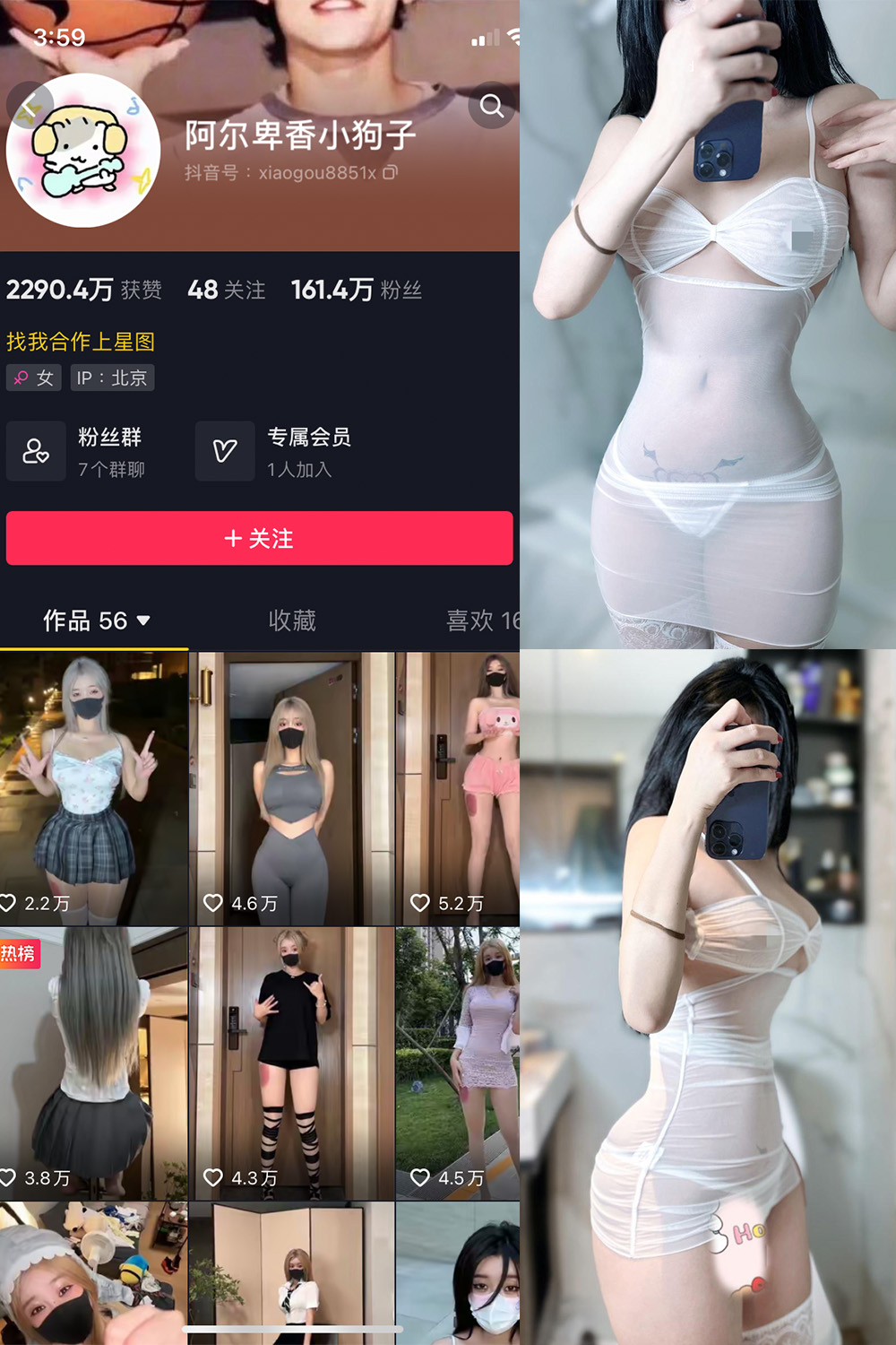 阿尔卑香小狗子 微密圈 NO.028期 最新至：2023.10.1