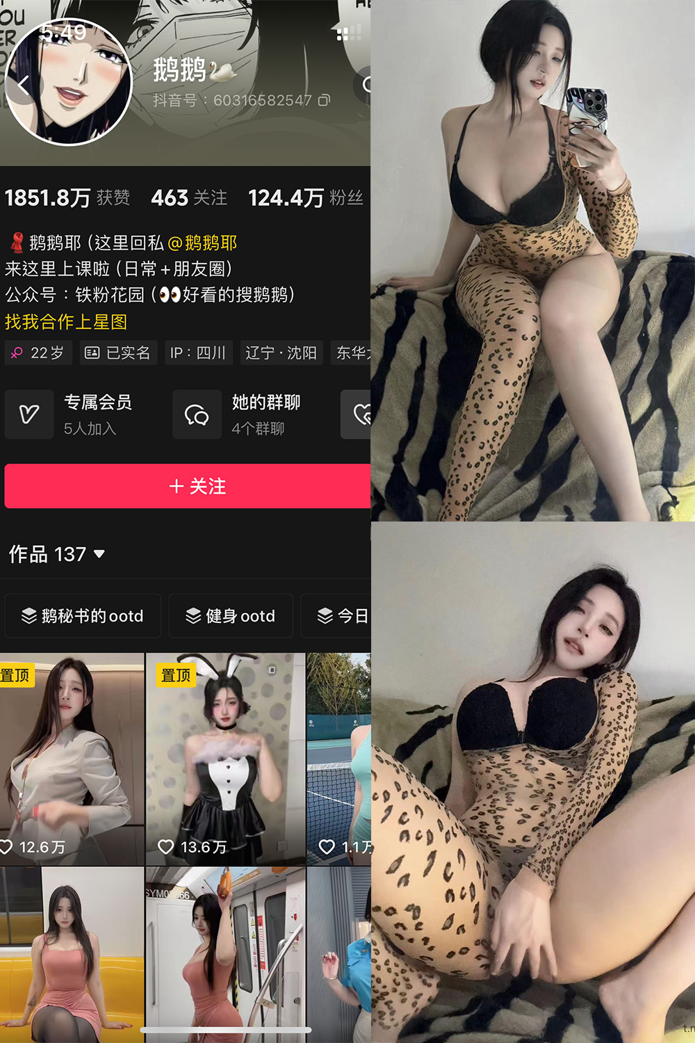 鹅鹅 铁粉空间 NO.004期