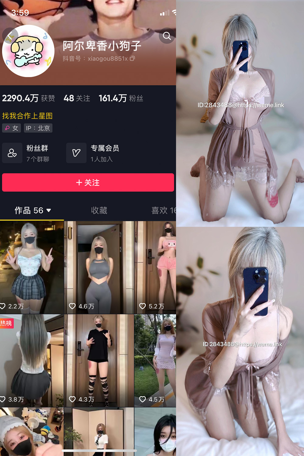 阿尔卑香小狗子 微密圈 NO.045期 最新至：2026.6.9