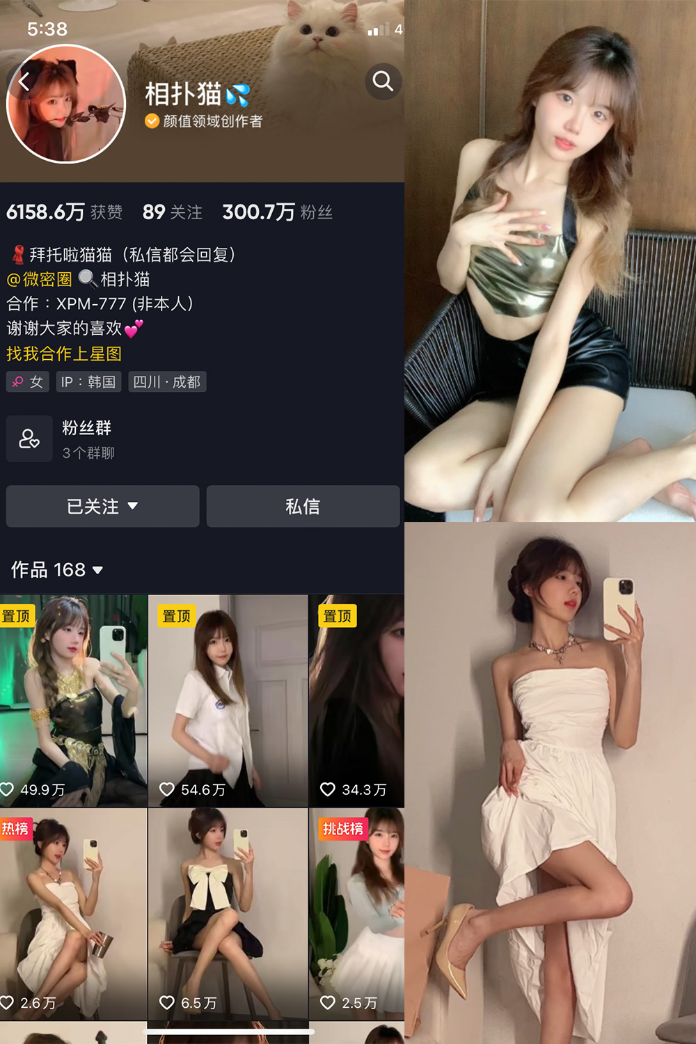 相扑猫 微密圈 NO.002期