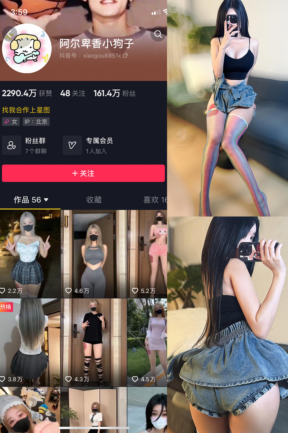 阿尔卑香小狗子 微密圈 NO.027期 最新至：2023.9.29