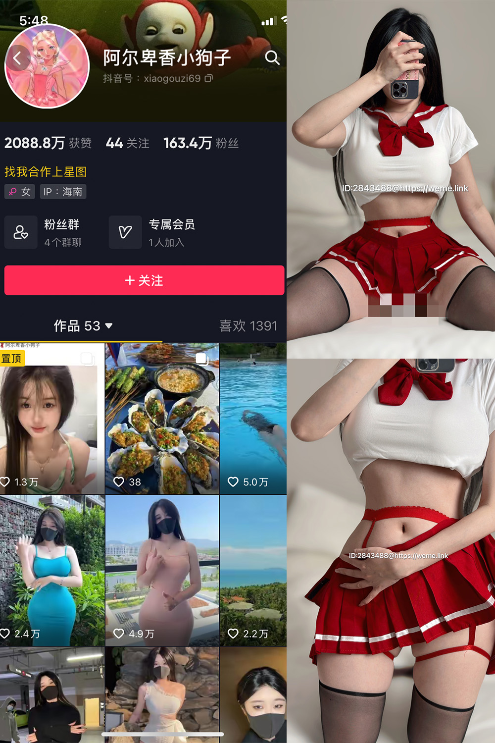 阿尔卑香小狗子