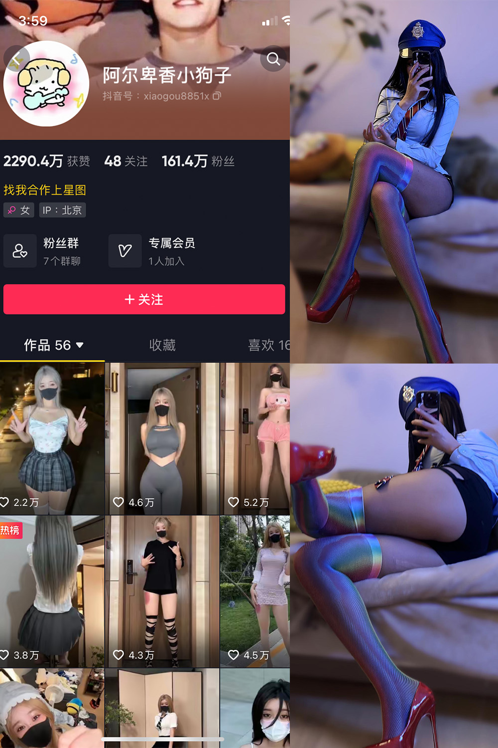 阿尔卑香小狗子 微密圈 NO.031期 最新至：2023.10.11