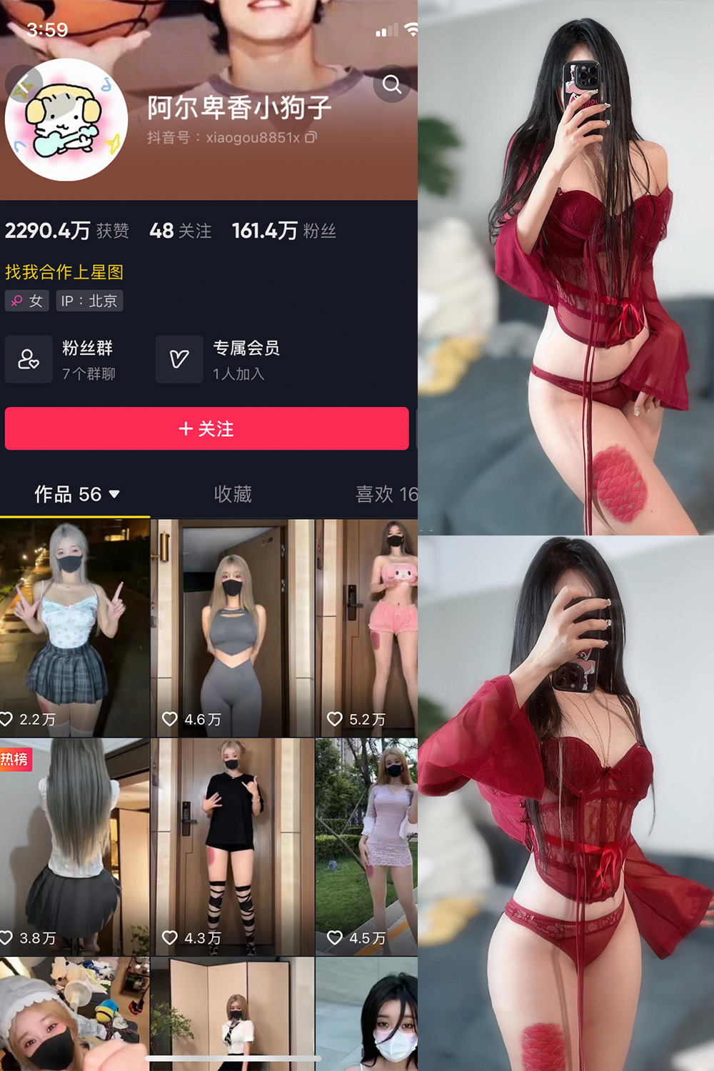 阿尔卑香小狗子 微密圈 NO.056期 最新至：2024.8.25