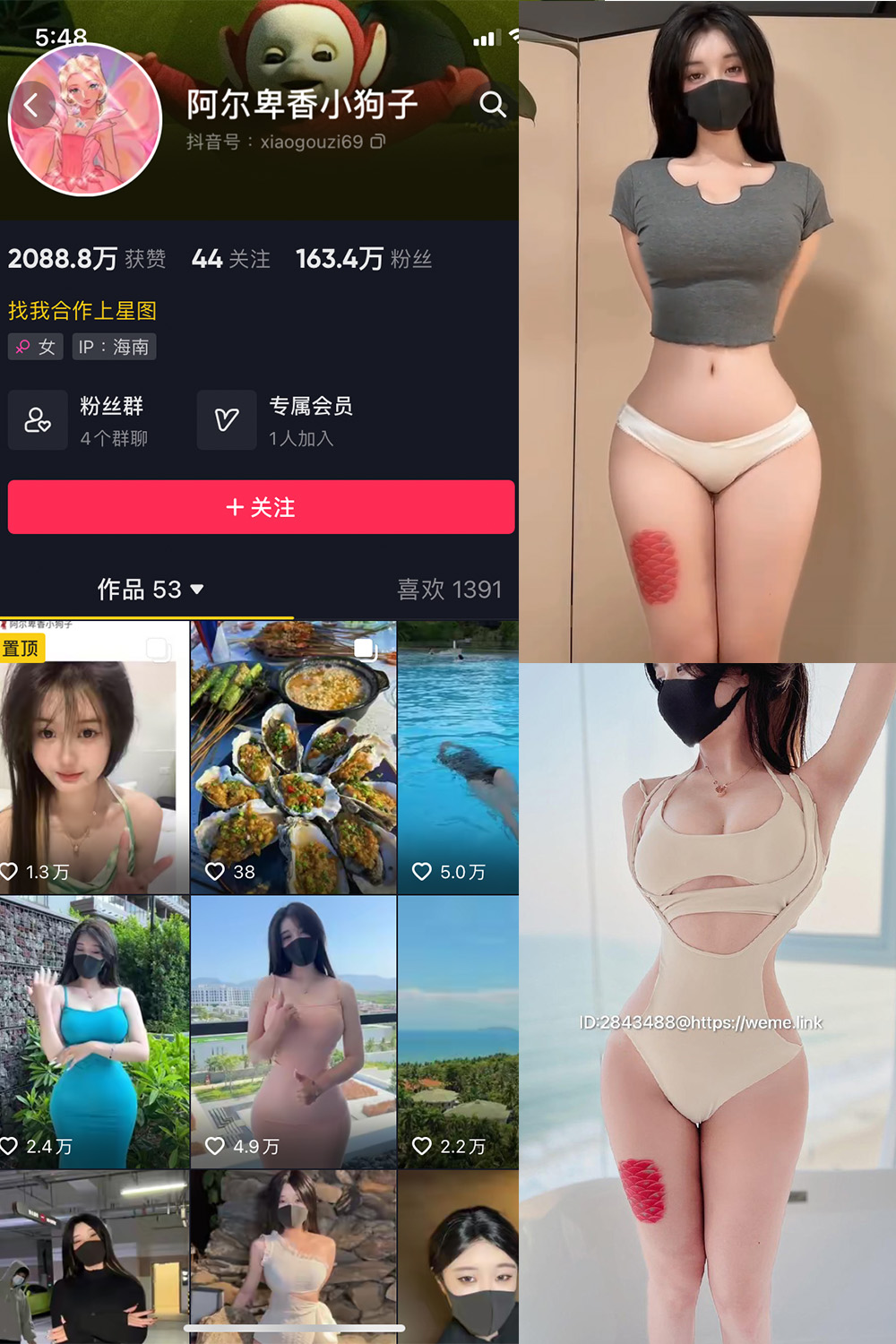 阿尔卑香小狗子 微密圈 NO.012期 最新至：2023.7.29