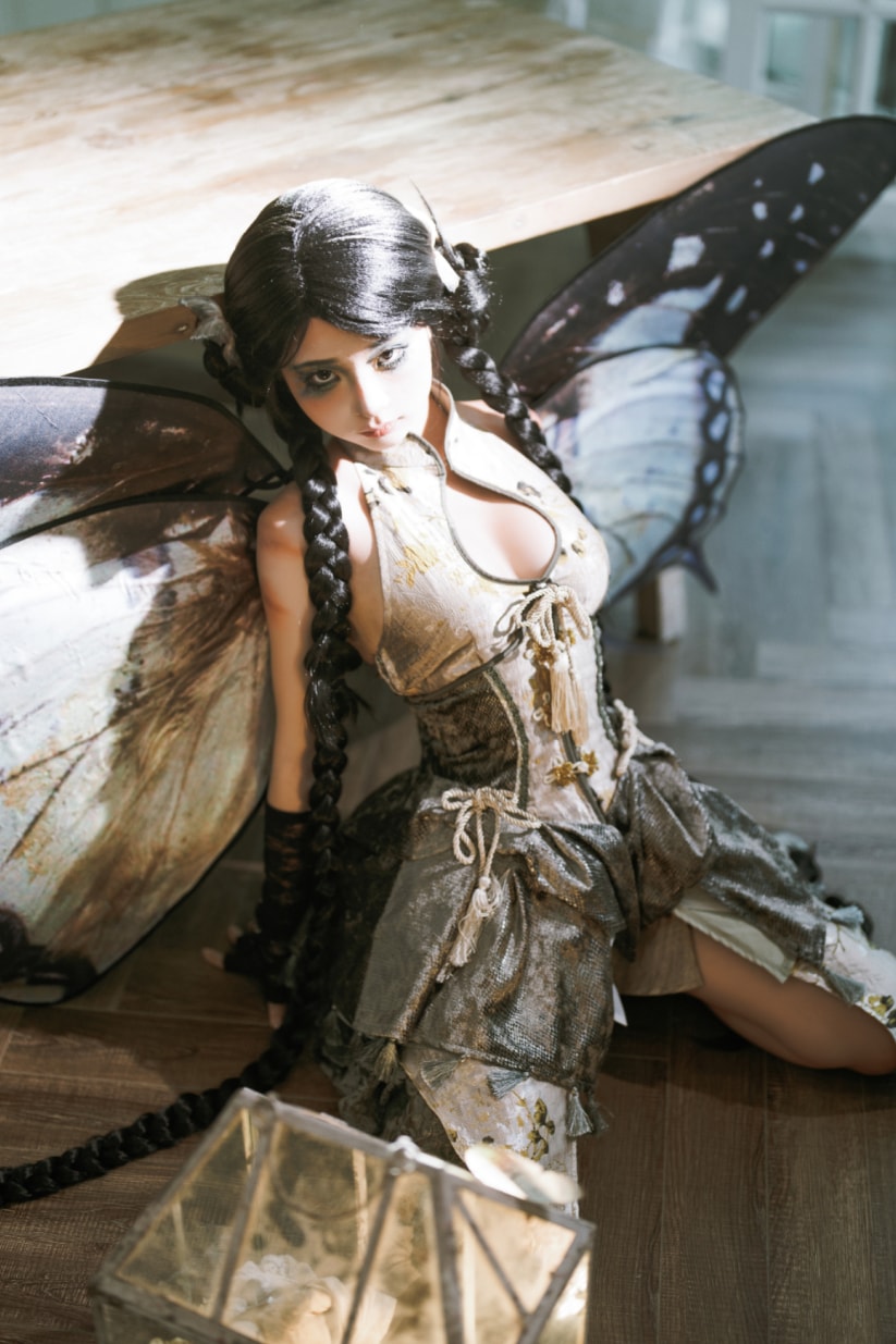 蠢沫沫 NO.360 枯叶蝶