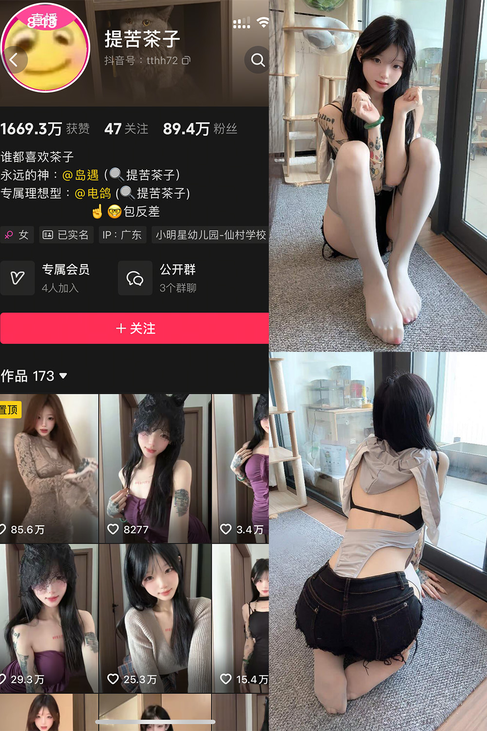 提苦茶子 岛遇 NO.004期 最新至：2025.7.4