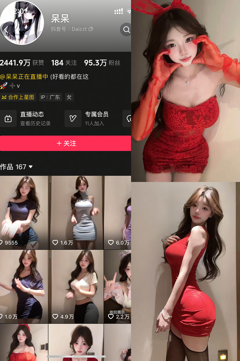 呆呆 岛遇 NO.004期 最新至：2025.7.10