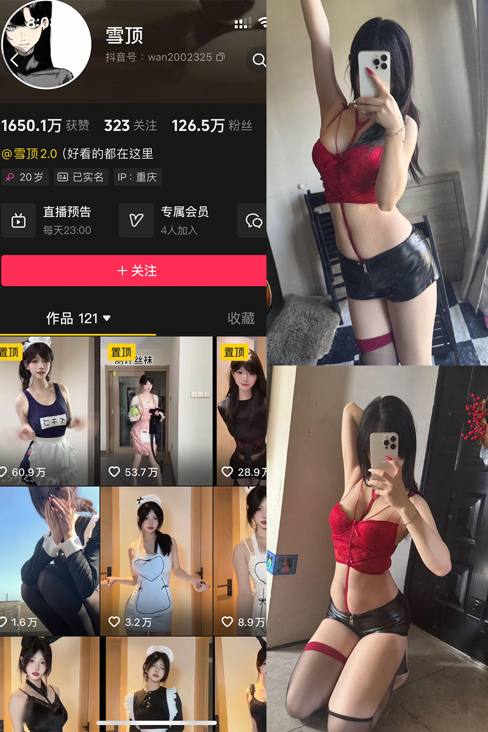 雪顶 岛遇 NO.009期 最新至：2025.8.16