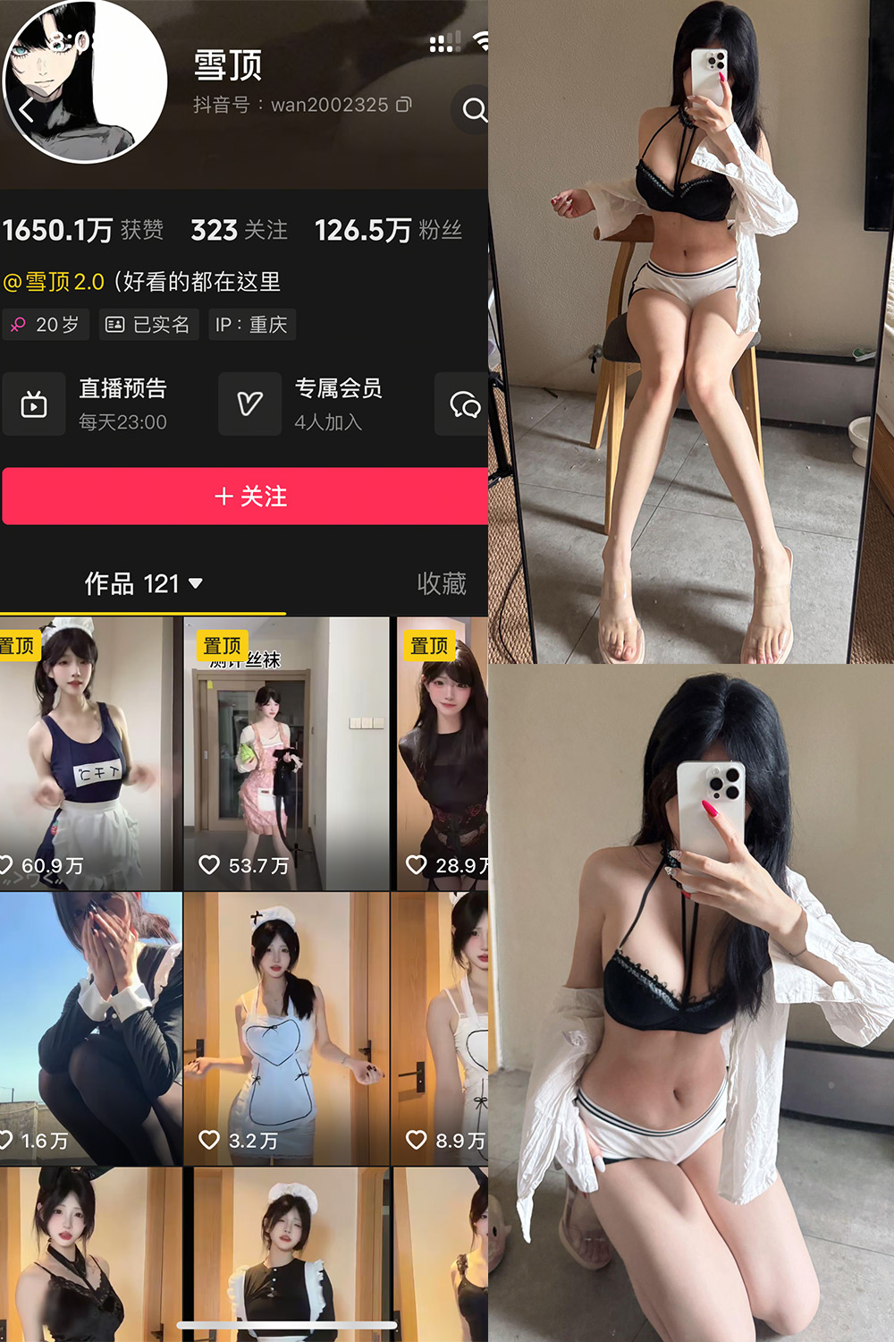 雪顶 岛遇 NO.008期 最新至：2025.8.12