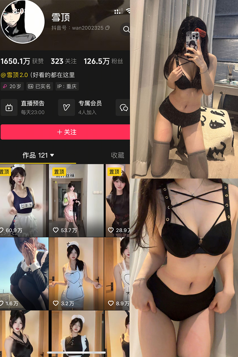 雪顶 岛遇 NO.013期 最新至：2025.10.28