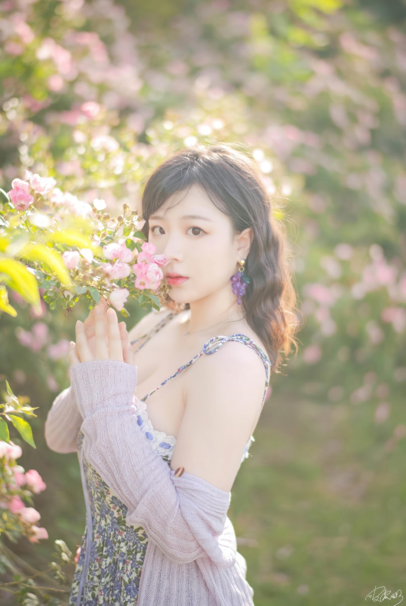 皮皮奶可可爱了啦 NO.061 蔷薇花