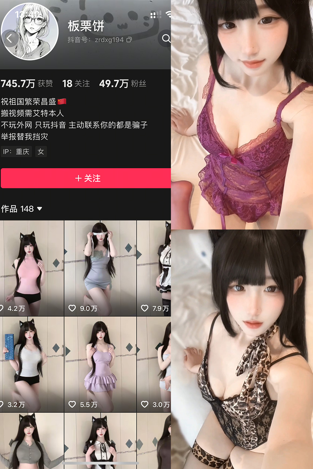 板栗饼 岛遇 NO.002期 最新至：2026.3.13