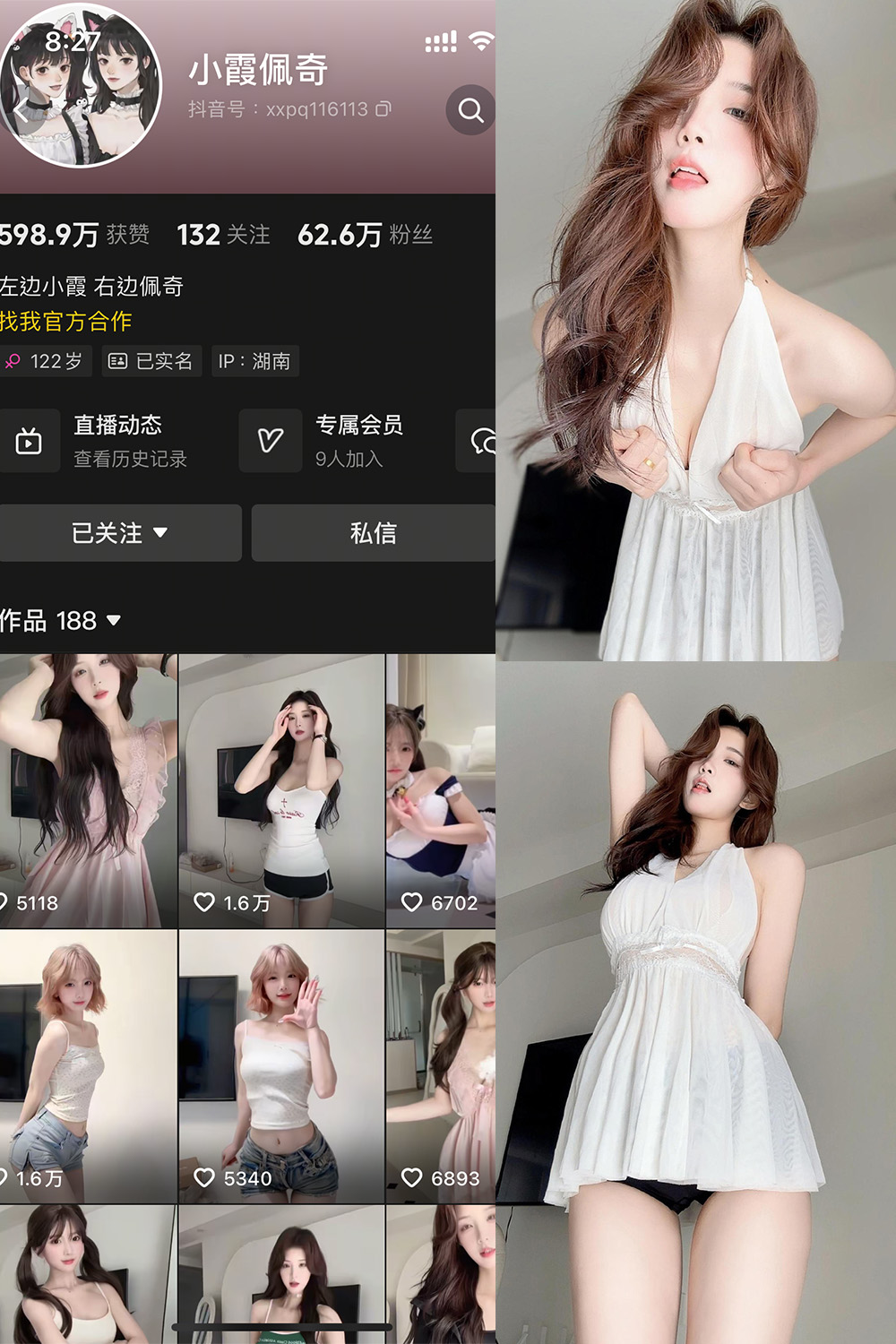 小霞佩奇 岛遇 NO.016期 最新至：2026.2.14