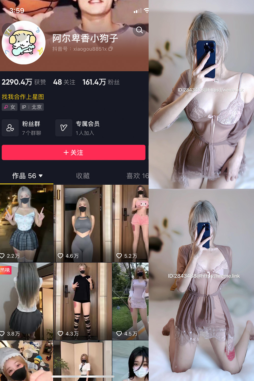 阿尔卑香小狗子 微密圈 NO.007期