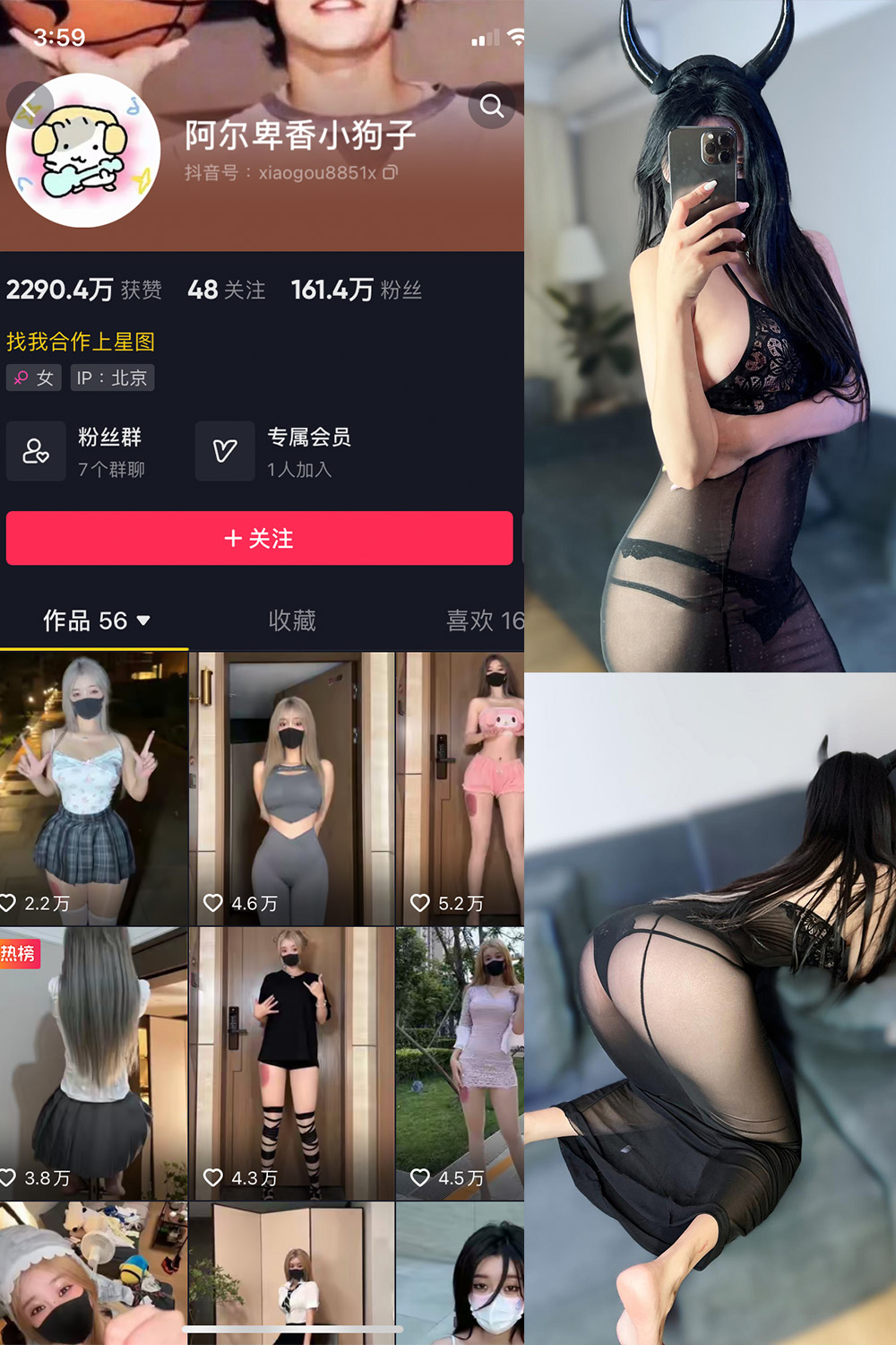 阿尔卑香小狗子 微密圈 NO.003期