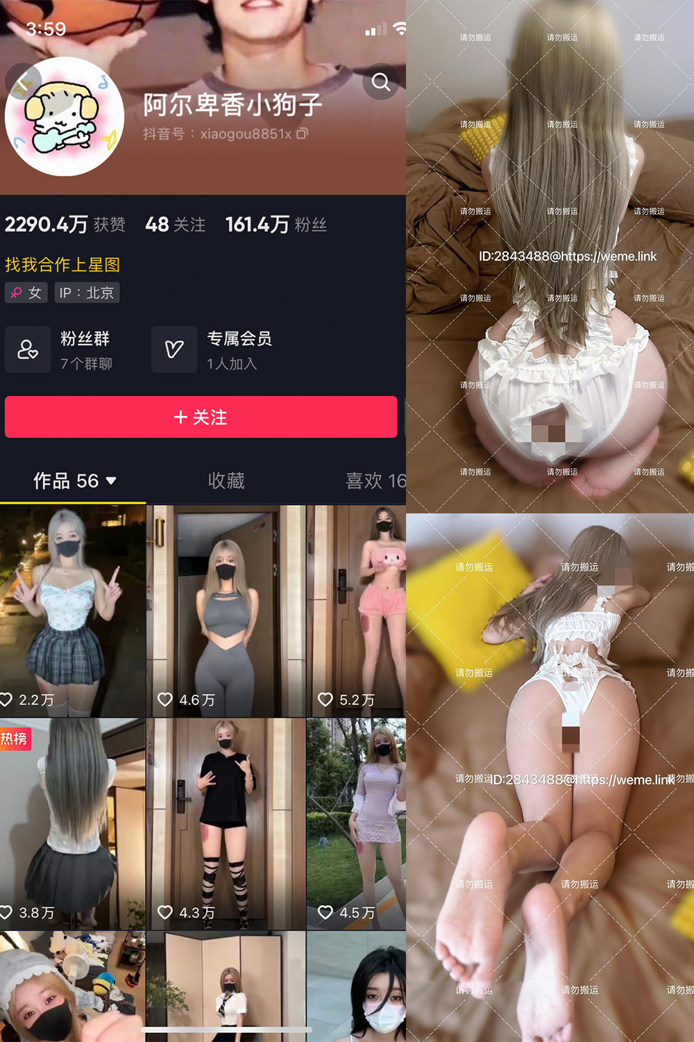 阿尔卑香小狗子 微密圈 NO.002期